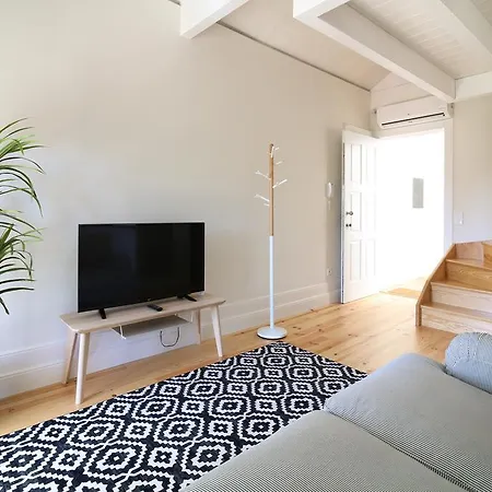 Msc Flats פורטו