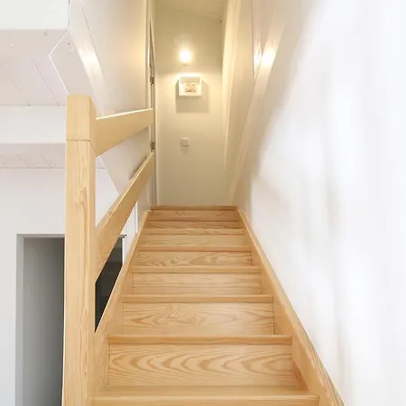 Msc Flats