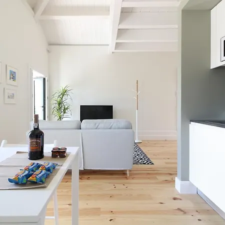 Msc Flats Apartment *